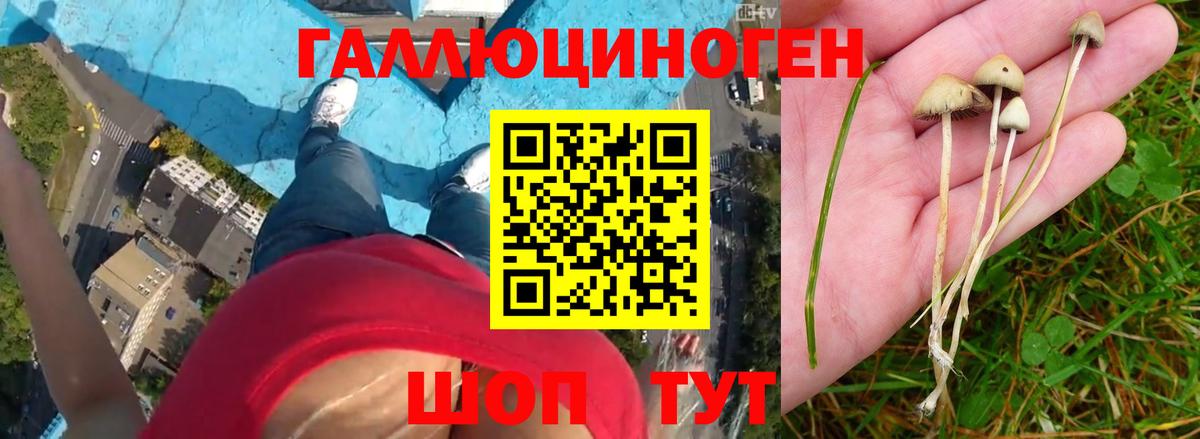 Бахчисарай  Псилоцибиновые грибы прущие грибы  Вход с VPN  Галлюциногенные грибы Cubensis 